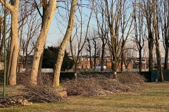 IMG_7946