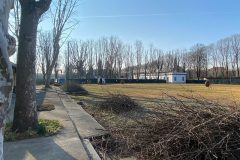 IMG_7958